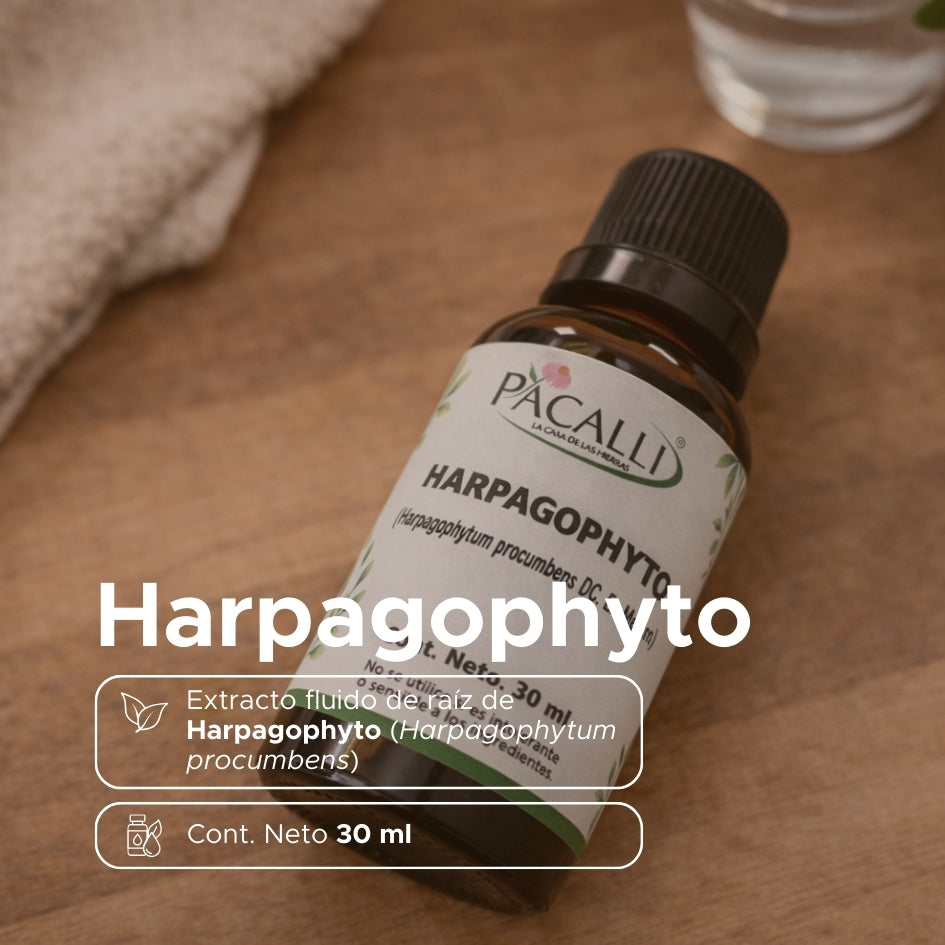 Harpagophyto Extracto · 30 ml