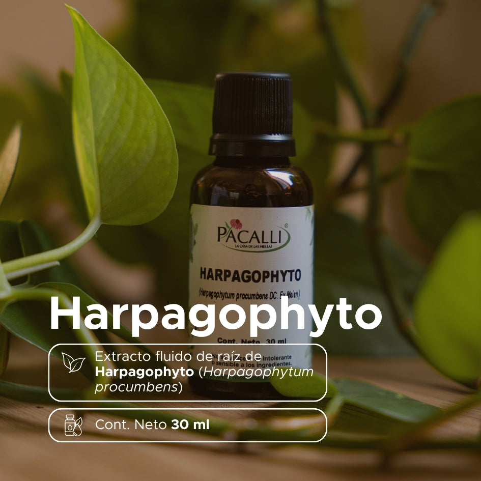Harpagophyto Extracto · 30 ml