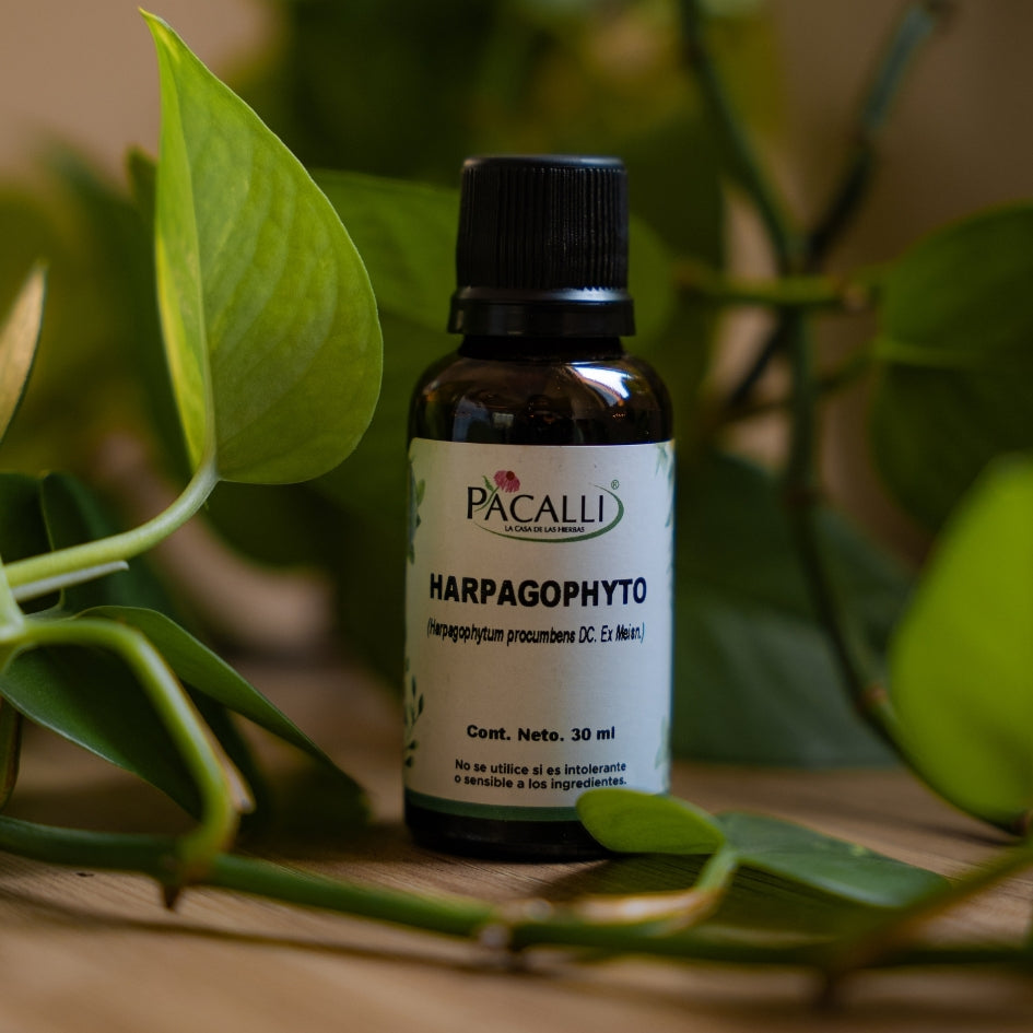 Harpagophyto Extracto · 30 ml