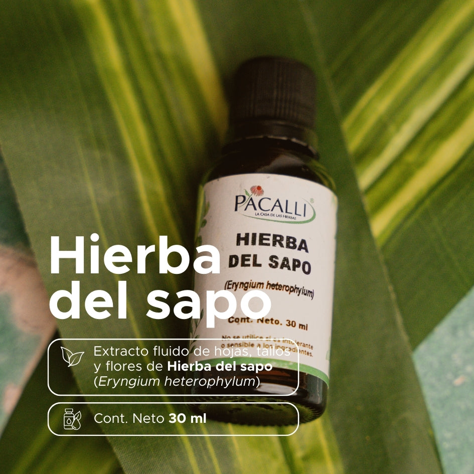 Hierba del Sapo Extracto · 30 ml