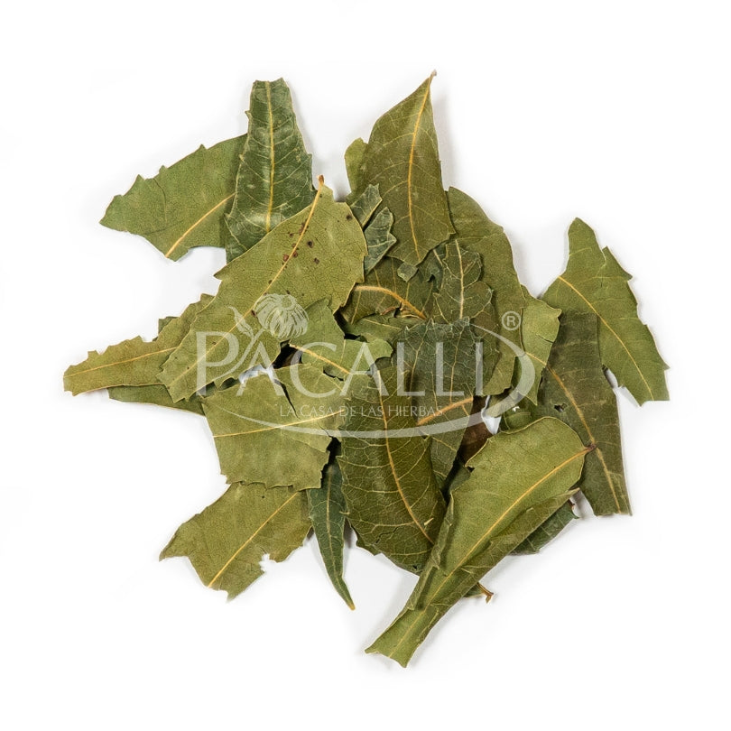 Hojas de Neem · 25 g