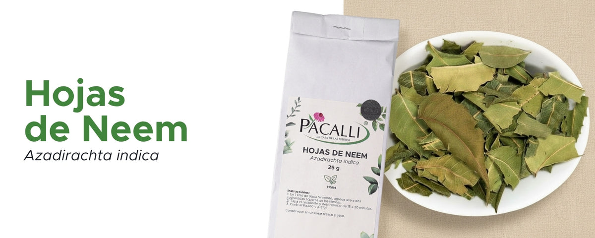 Hojas de Neem · 25 g