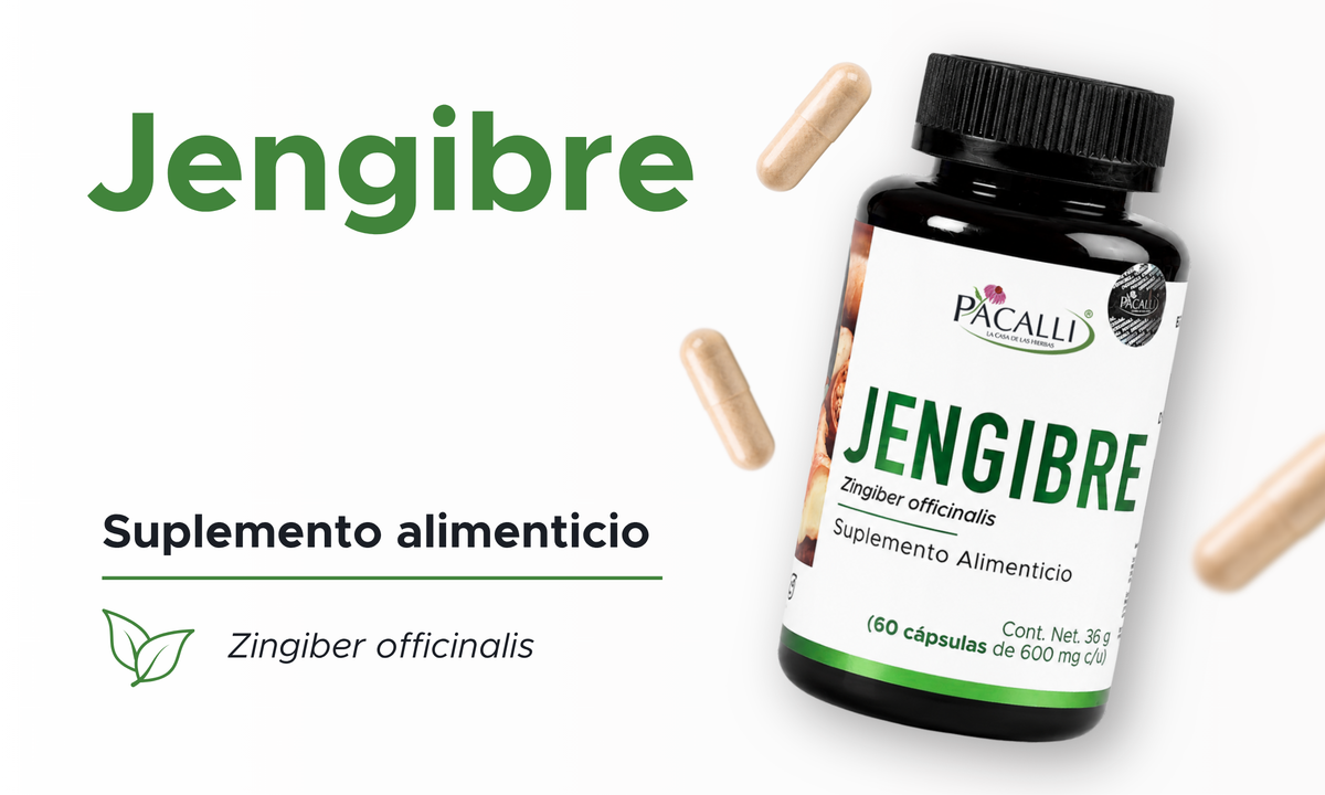 Jengibre | Deshidratado de Zingiber officinale | 600 mg · 60 caps