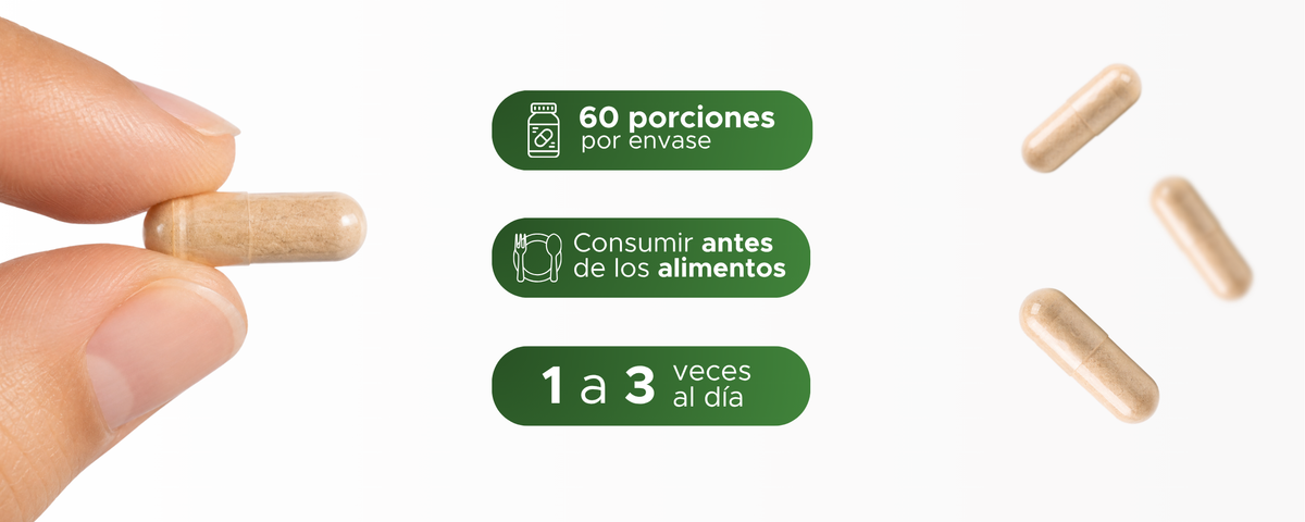 Jengibre | Deshidratado de Zingiber officinale | 600 mg · 60 caps