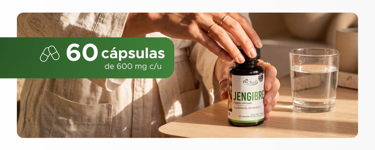 Jengibre | Deshidratado de Zingiber officinale | 600 mg · 60 caps