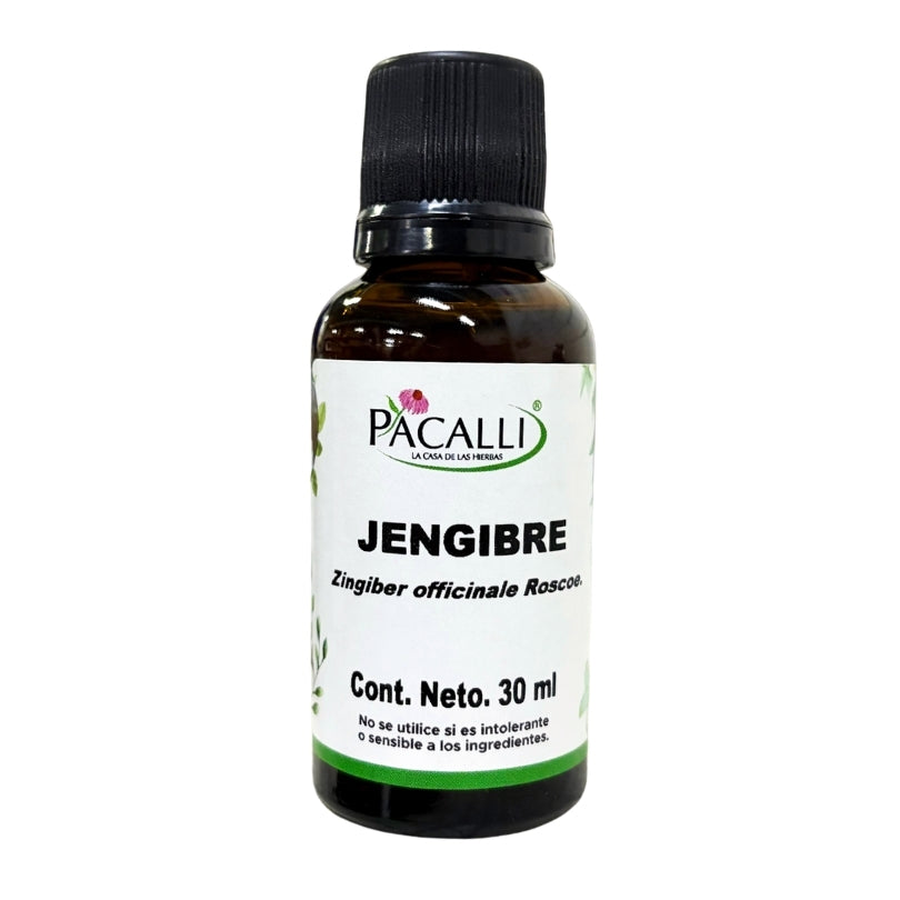 Jengibre Extracto · 30 ml