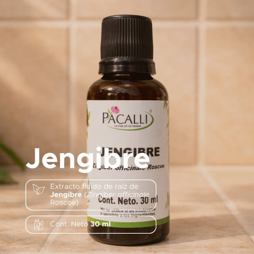 Jengibre Extracto · 30 ml
