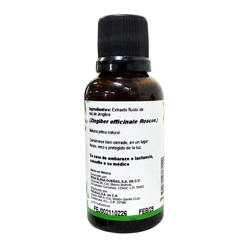Jengibre Extracto · 30 ml