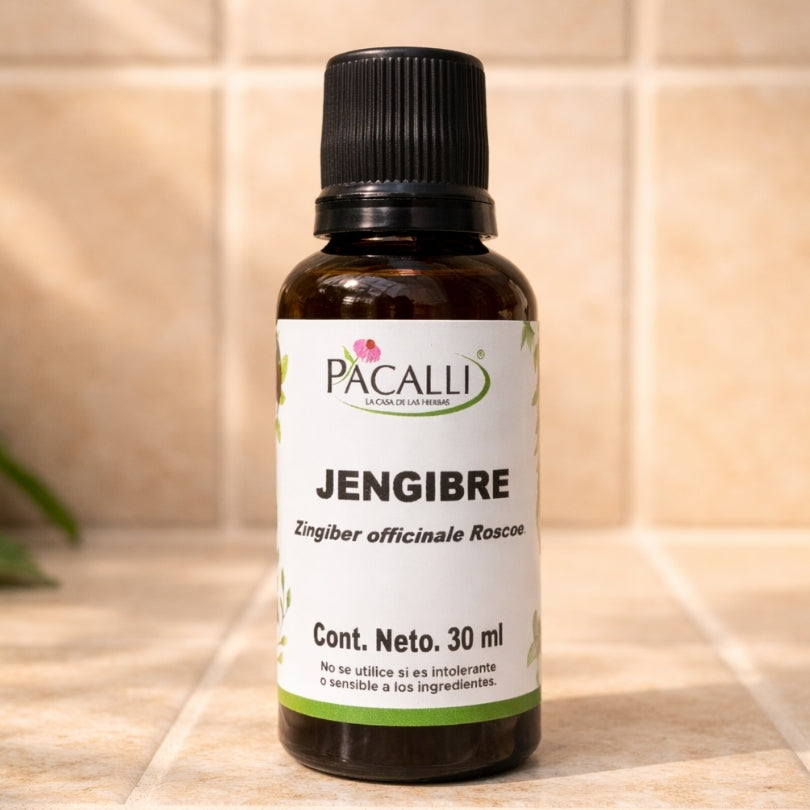 Jengibre Extracto · 30 ml
