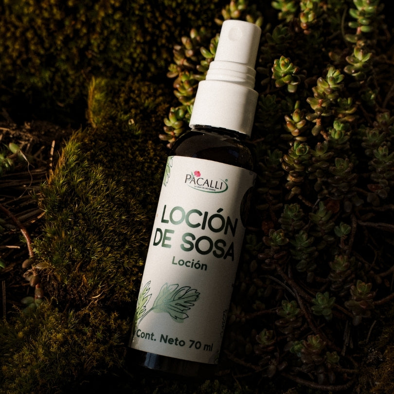 Loción de Sosa PACALLI · Extracto de Sosa, Larrea y Aceites de Origen Natural · 70 ml