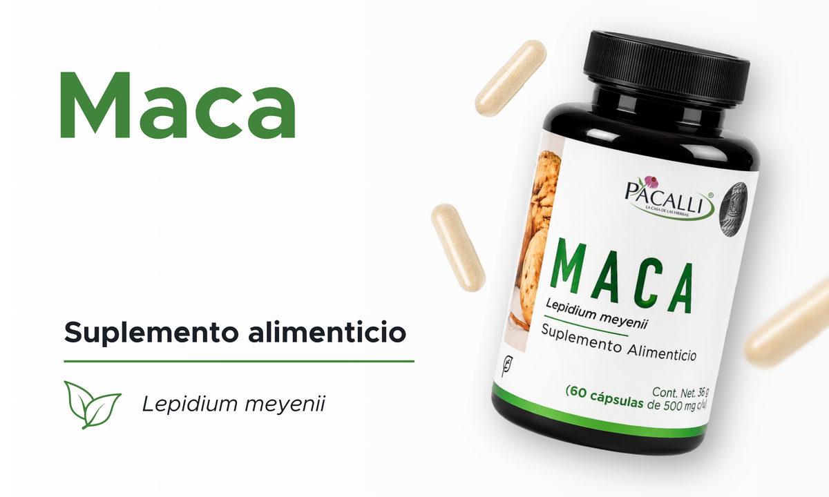 Maca | Raíz pulverizada de Lepidium meyenii | 500 mg · 60 caps