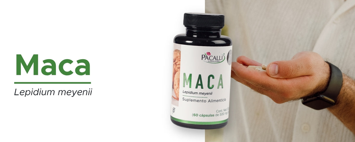 Maca · 60 caps