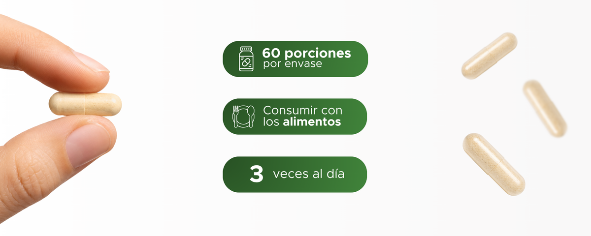 Maca | Raíz pulverizada de Lepidium meyenii | 500 mg · 60 caps