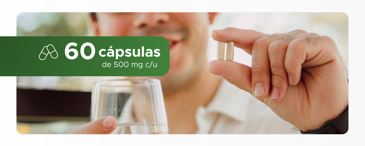 Maca | Raíz pulverizada de Lepidium meyenii | 500 mg · 60 caps