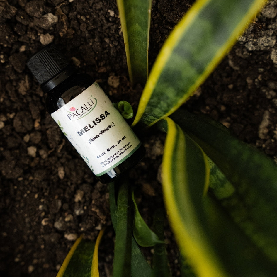 Melissa Extracto · 30 ml