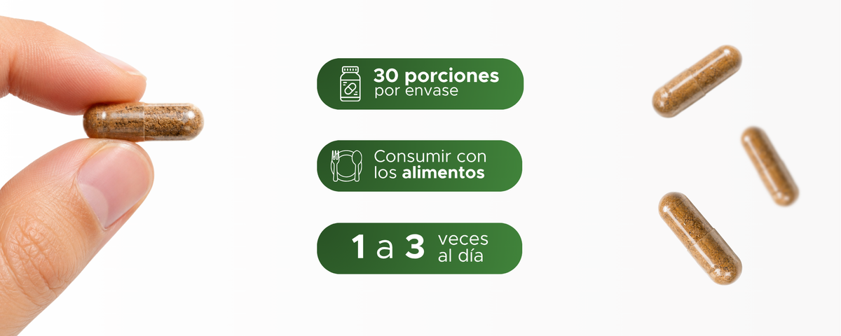 Melón Amargo | Momordica charantia en extracto seco | 550 mg · 30 caps