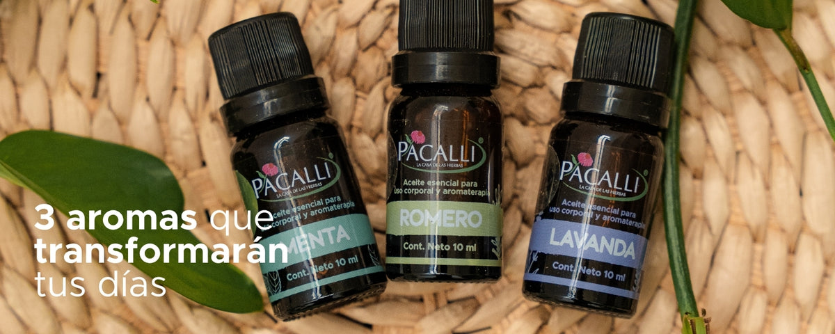 Mi Kit Esencial PACALLI · Lavanda, Menta y Romero · 3 x 10 ml
