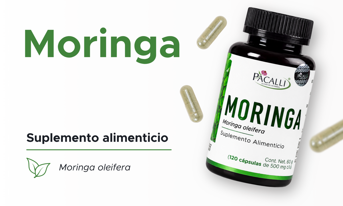 Moringa | Hoja en polvo | 500 mg · 120 caps