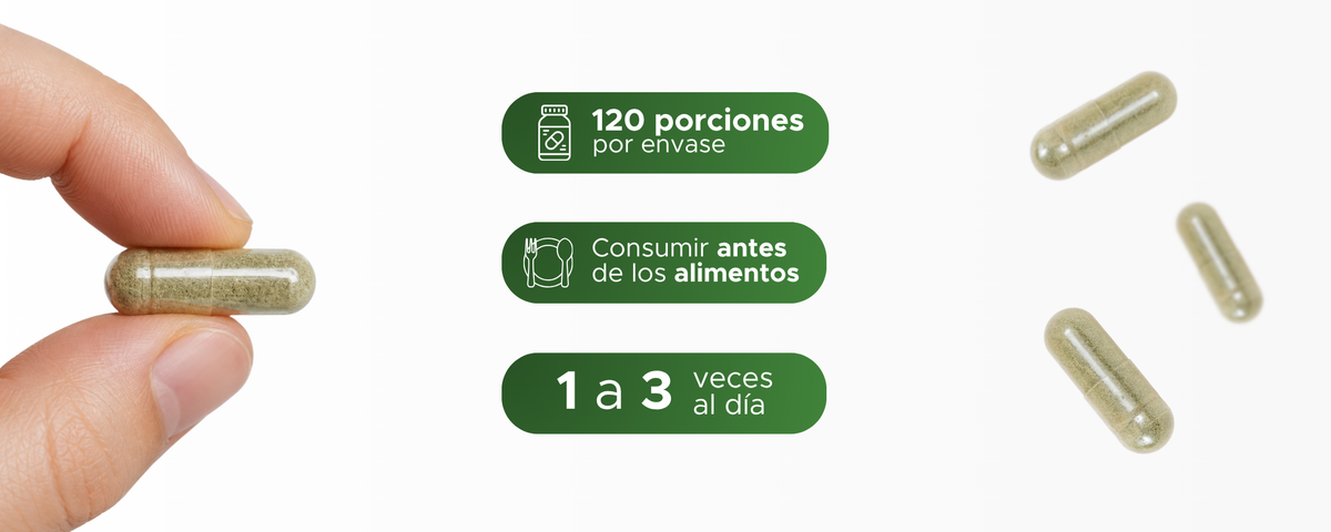 Moringa | Hoja en polvo | 500 mg · 120 caps