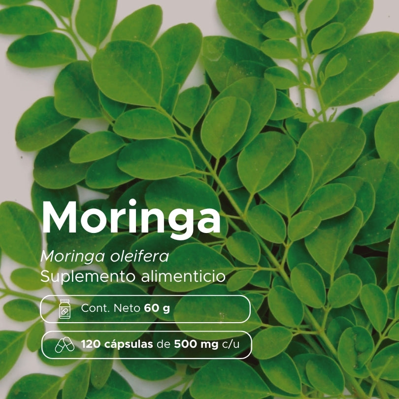 Moringa · 120 caps