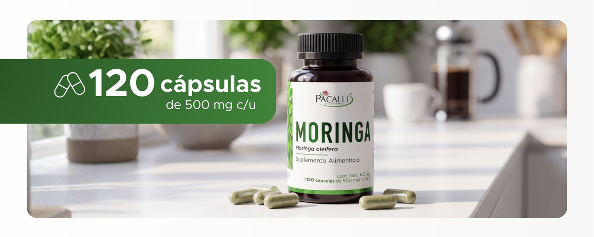 Moringa | Hoja en polvo | 500 mg · 120 caps