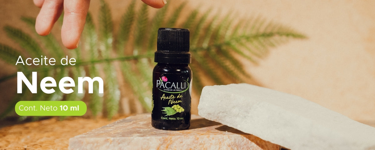 Aceite de Neem PACALLI · Cuidado y Pureza · 10 ml