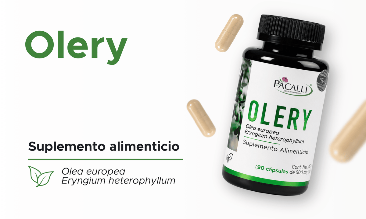 Olery | Olivo y Hierba del Sapo en polvo | 500 mg · 90 caps