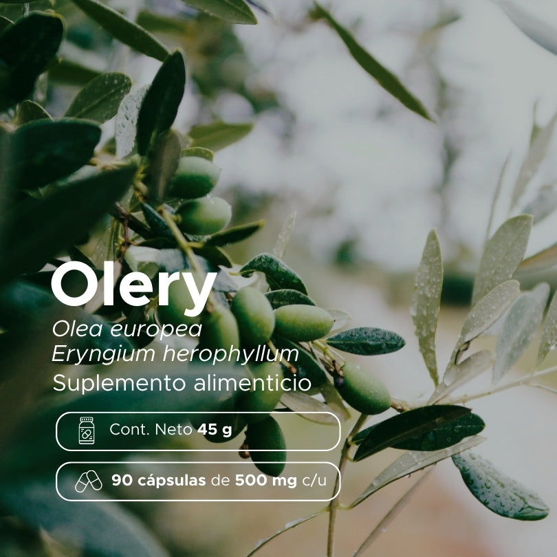 Olery · 90 caps