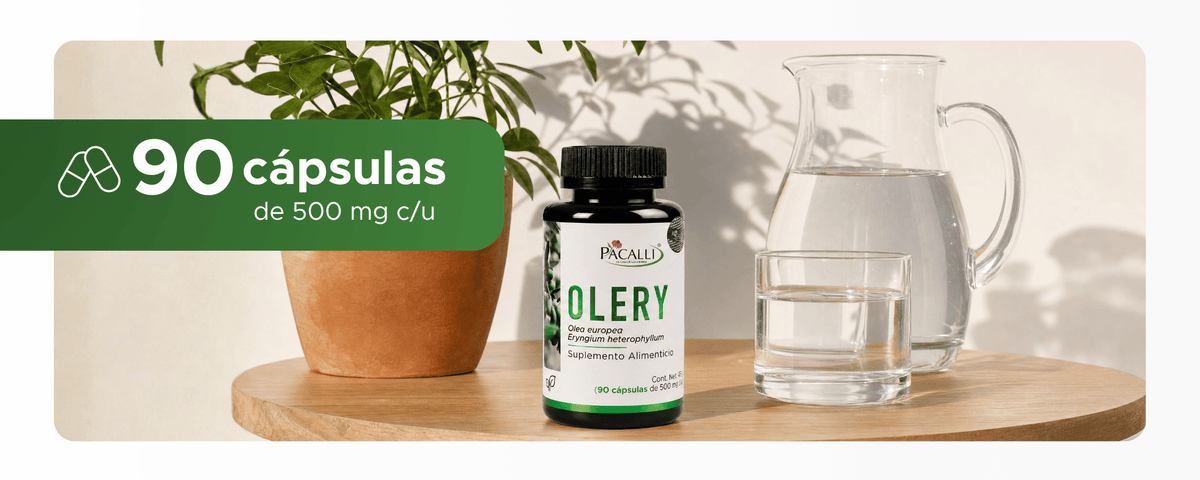 Olery | Olivo y Hierba del Sapo en polvo | 500 mg · 90 caps