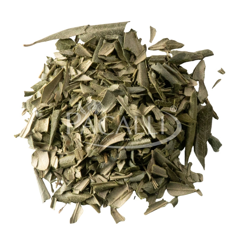 Olivo · 100 g