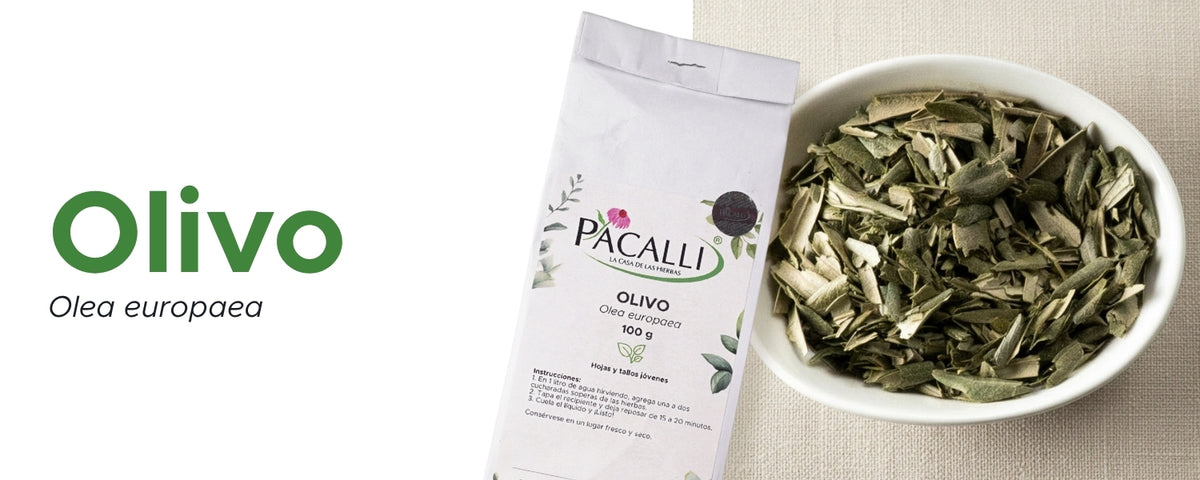 Olivo · 100 g