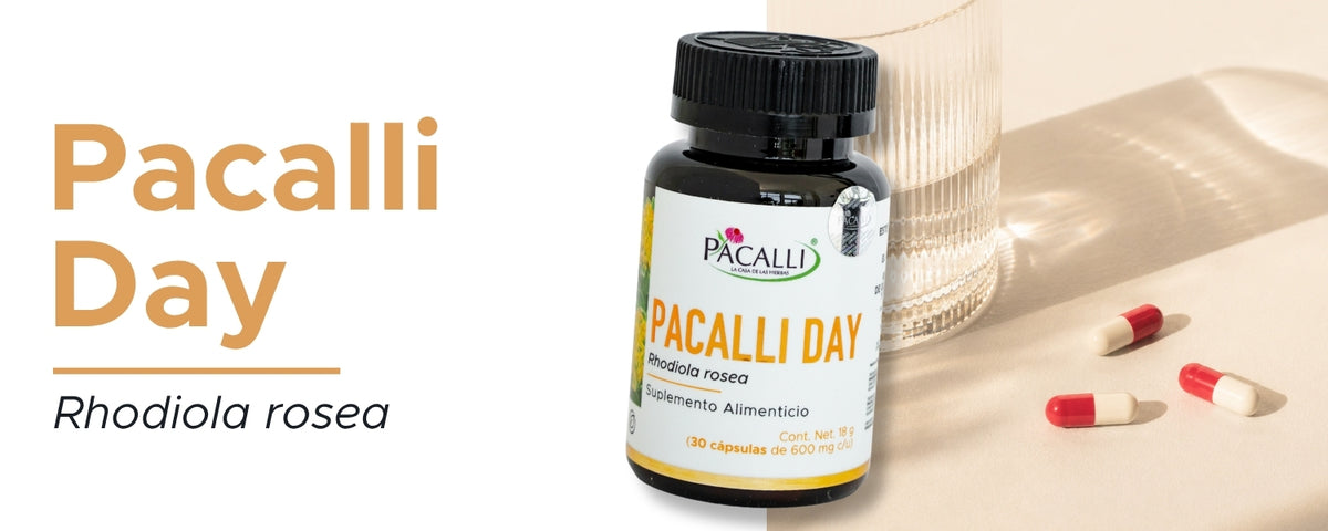 Pacalli Day · 30 caps