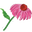 Pacalli logo