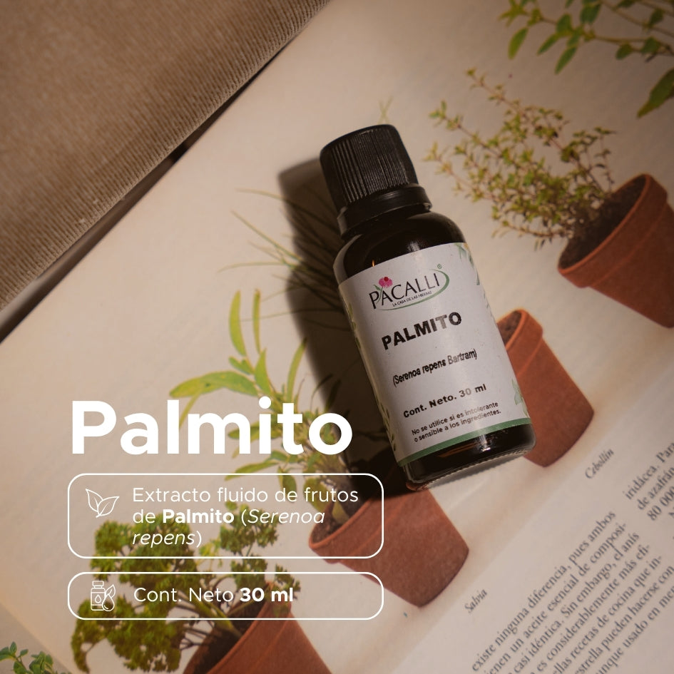 Palmito Extracto · 30 ml