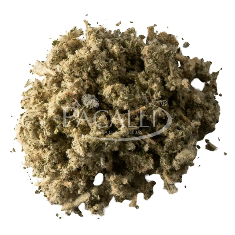 Salvia de Monterrey · 100 g