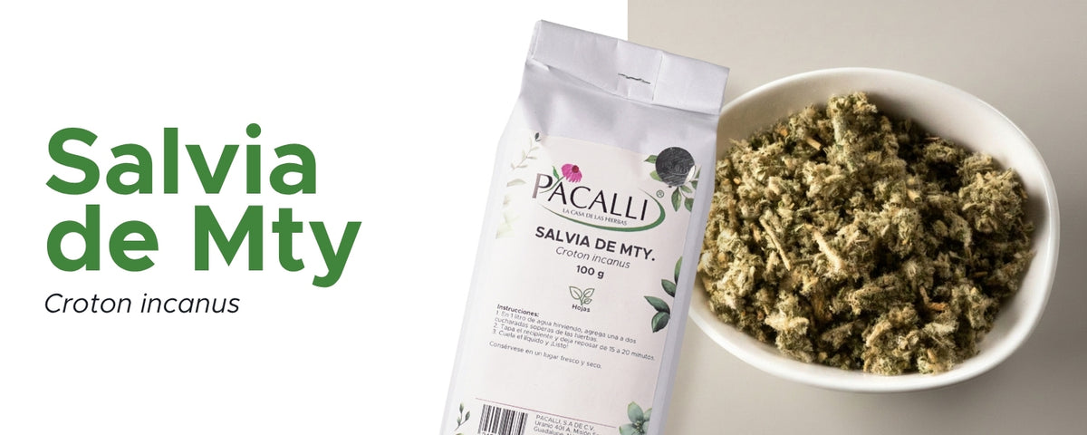 Salvia de Monterrey · 100 g
