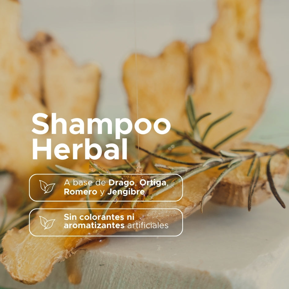 Shampoo Herbal PACALLI · Con Sangre de Drago, Romero, Jengibre y Ortiga · 410 ml