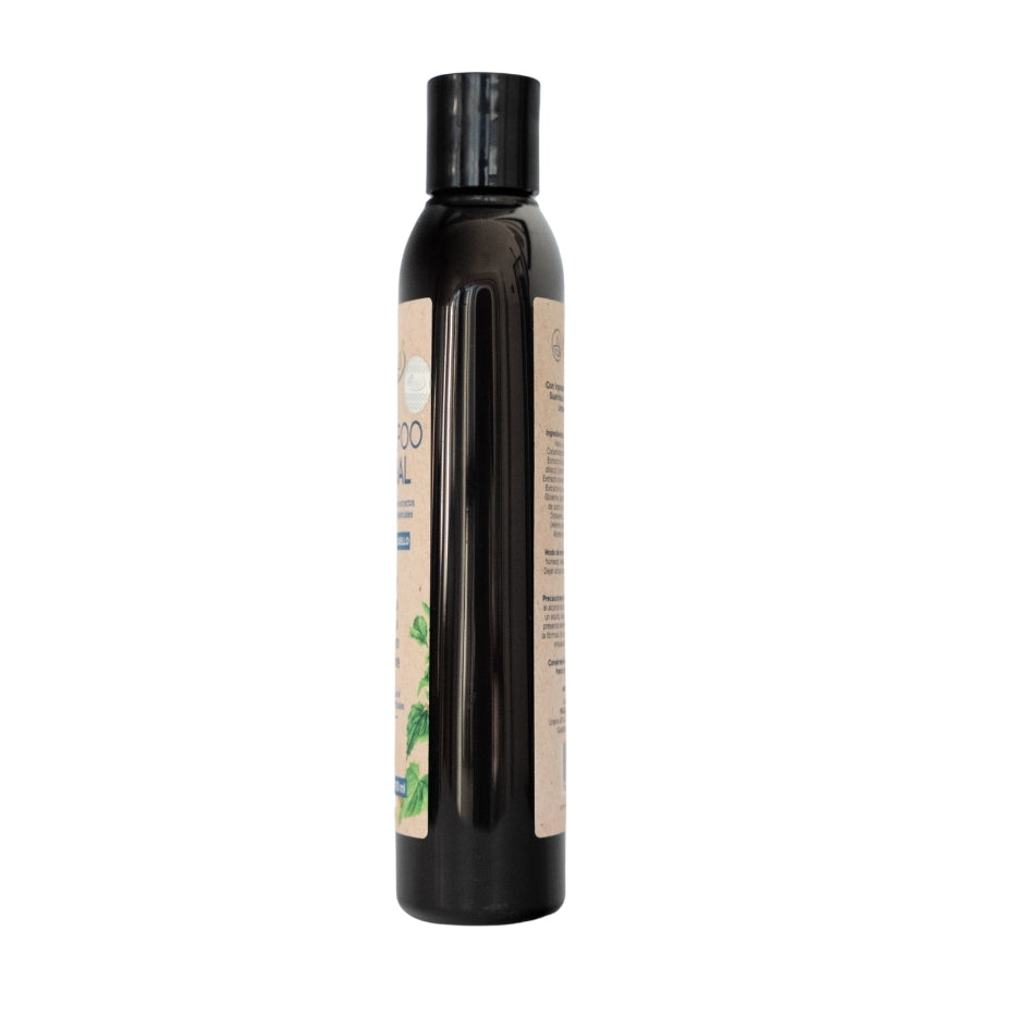 Shampoo Herbal PACALLI · Con Sangre de Drago, Romero, Jengibre y Ortiga · 410 ml