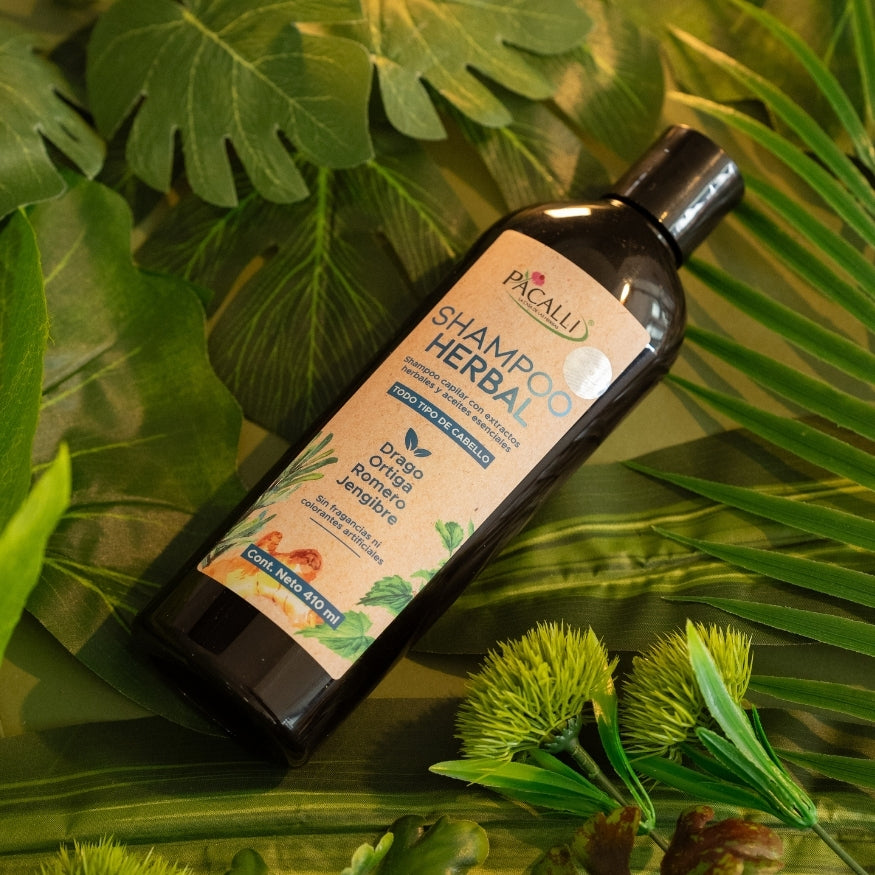Shampoo Herbal PACALLI · Con Sangre de Drago, Romero, Jengibre y Ortiga · 410 ml