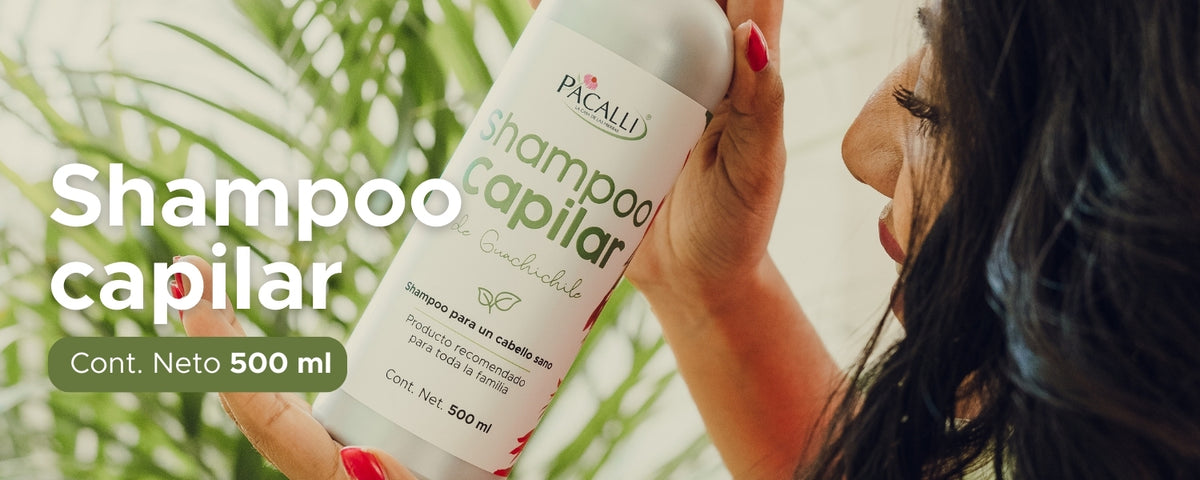 Shampoo Capilar de Guachichile PACALLI · Con Guachichile y Sangre de Drago · 500 ml