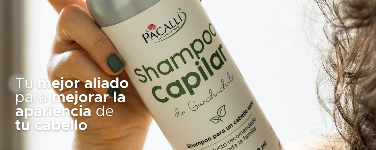 Shampoo Capilar de Guachichile PACALLI · Con Guachichile y Sangre de Drago · 500 ml