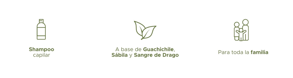Shampoo Capilar de Guachichile PACALLI · Con Guachichile y Sangre de Drago · 500 ml
