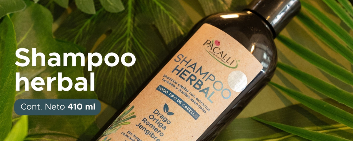 Shampoo Herbal PACALLI · Con Sangre de Drago, Romero, Jengibre y Ortiga · 410 ml