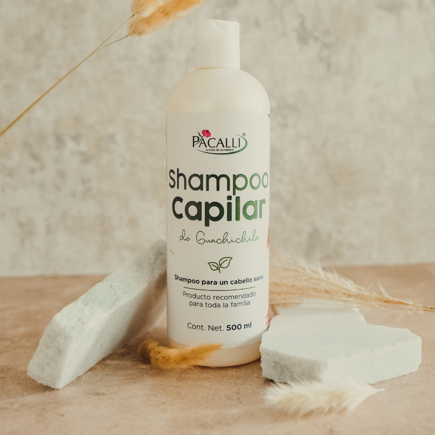 Shampoo Capilar de Guachichile PACALLI · Con Guachichile, Sangre de Drago y Hueso de Mamey · 500 ml