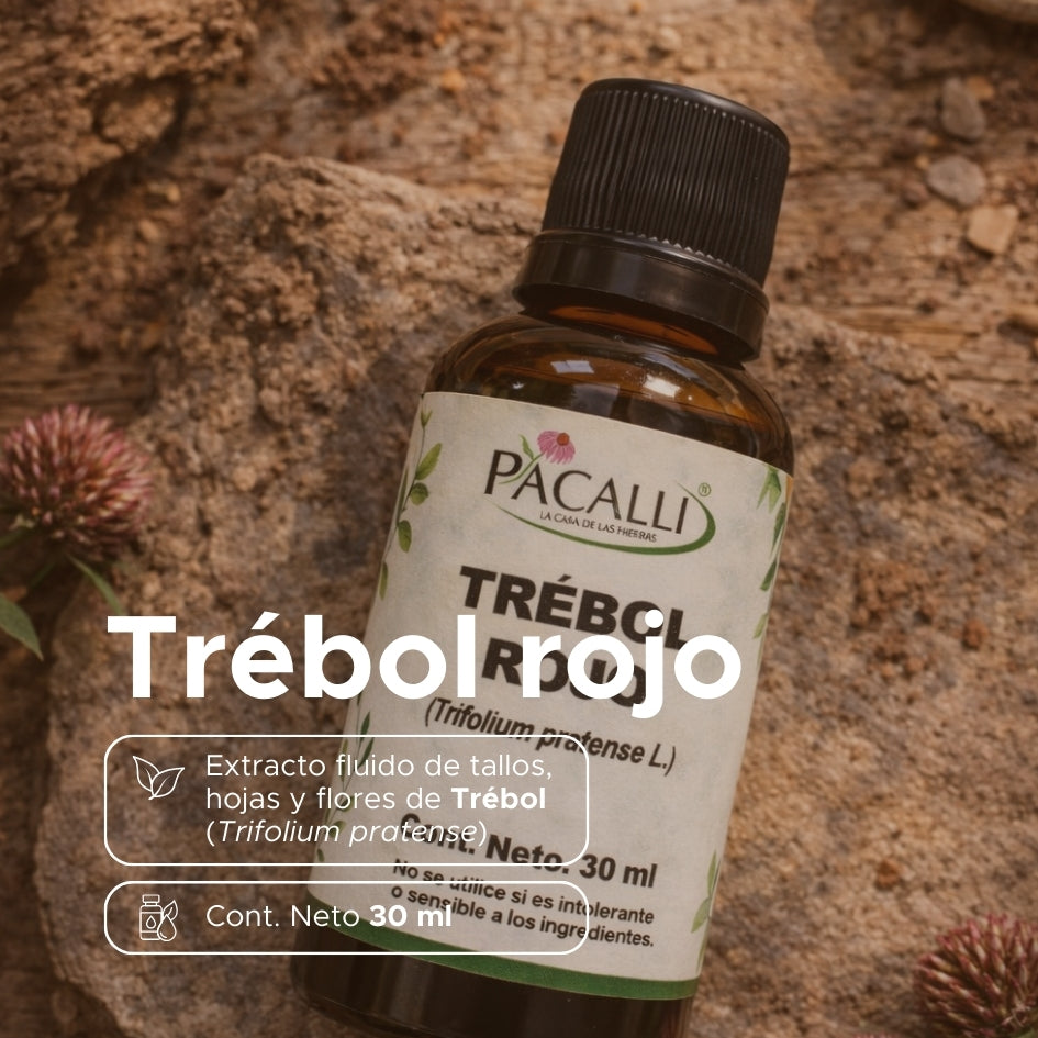 Trébol Rojo Extracto · 30 ml