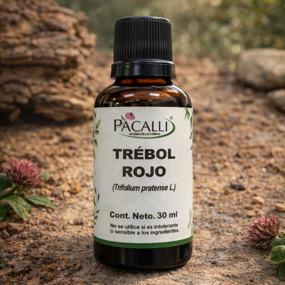 Trébol Rojo Extracto · 30 ml