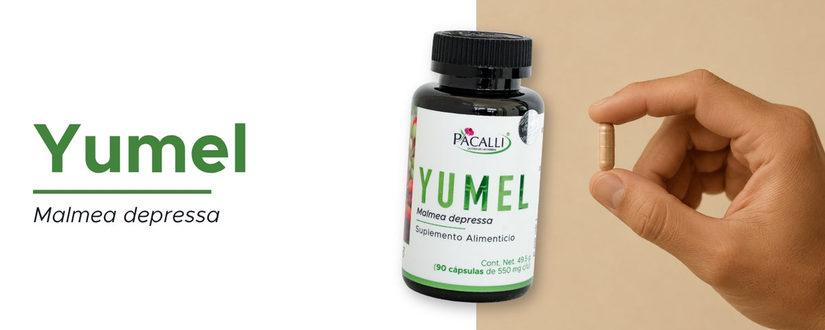 Yumel · 90 caps