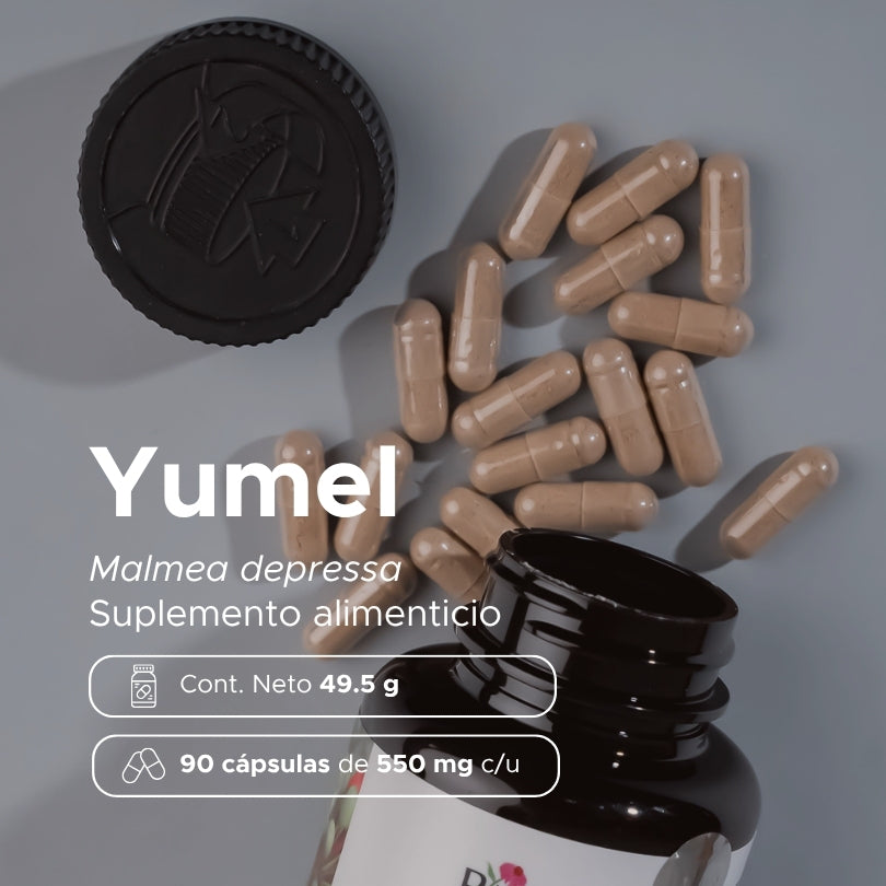 Yumel · 90 caps