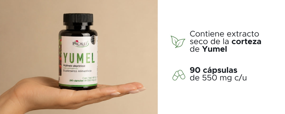 Yumel · 90 caps