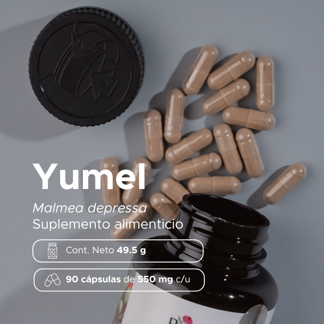 Yumel · 90 caps